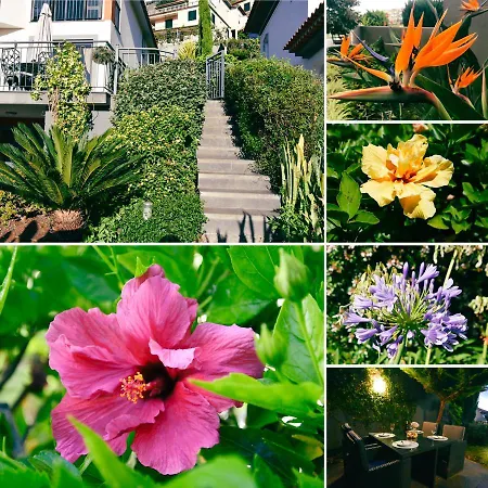 Vila Juntos By Your Madeira * Ponta do Sol (Madeira)