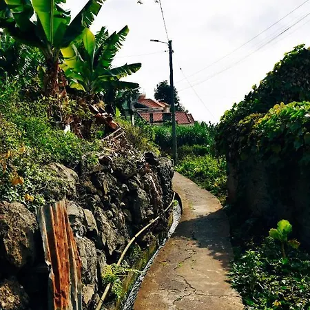 Villa Vila Juntos By Your Madeira
