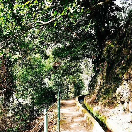 Villa Vila Juntos By Your Madeira *